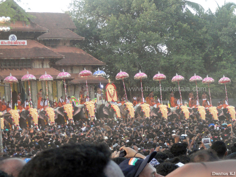 thrissur-pooram-2013-2 (8)